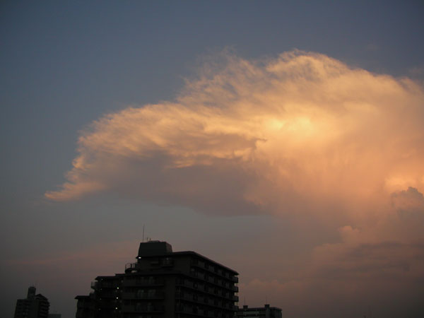 夕日に映える積乱雲（２）