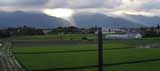 Vg̒q@MB