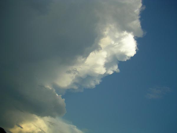 積乱雲の周縁部　拡大